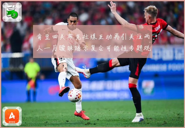 肯豆回关布克社媒互动再引关注两人一月暧昧暗示复合可能性专题观察：最新赛事动态与深度分析